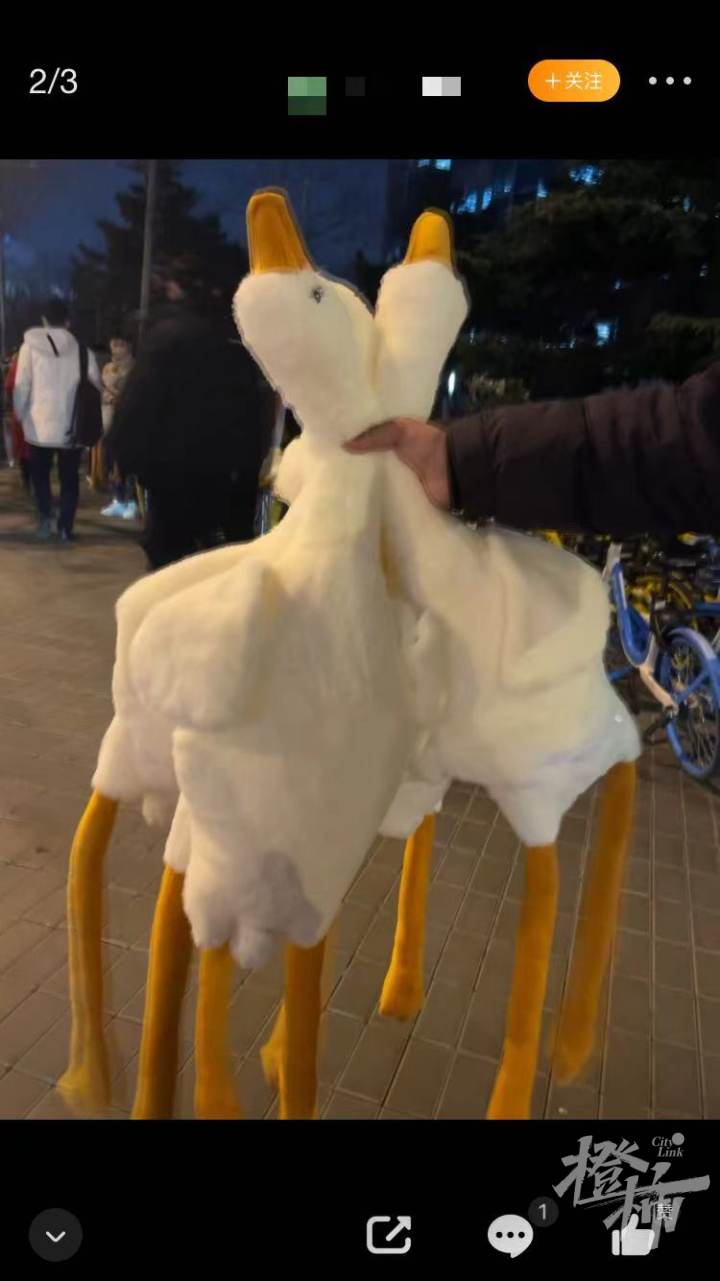 开养老金账户送大鹅，银行们真的很拼！-养老金发放用什么银行卡