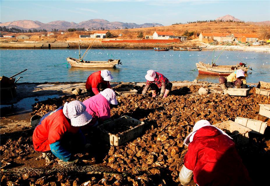 各行各业忙起来了！ 度小满用技术动能赋能实体经济振兴（度小满金融科技是干什么的）