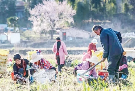 牛年春来早 奋进正当时（牛年春来早图）