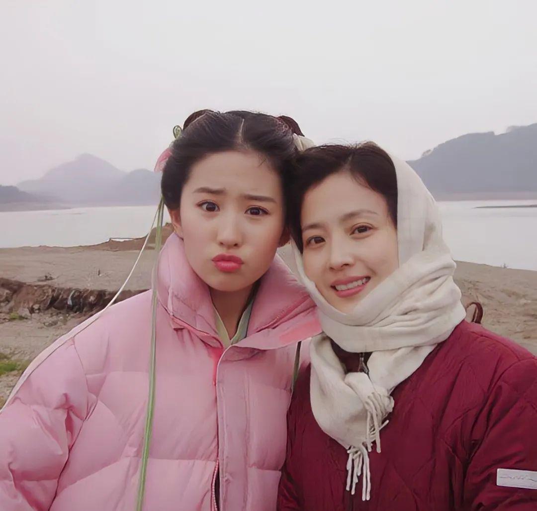 事件升级！刘亦菲曾被校园霸凌再惹争议，韩国网友态度两极分化-刘亦菲韩媒评论视频