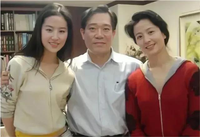 被韩国女生霸凌！刘亦菲爆过往经历表示：在美国，想维护祖国尊严-韩国媒体报道刘亦菲家世的视频是真的吗