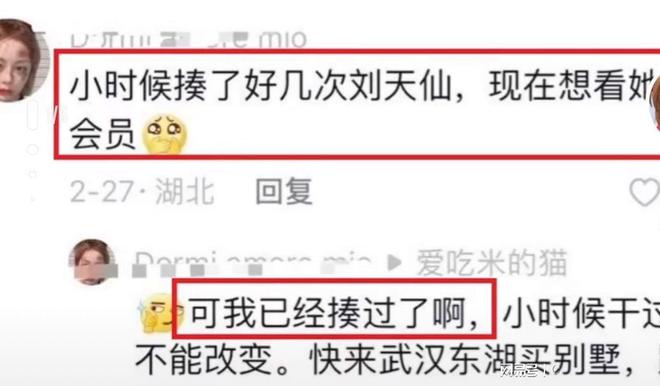 刘亦菲曾在韩国遭校园霸凌, 背后原因令人愤怒, 勇敢反抗终获自救-刘亦菲在韩国红吗