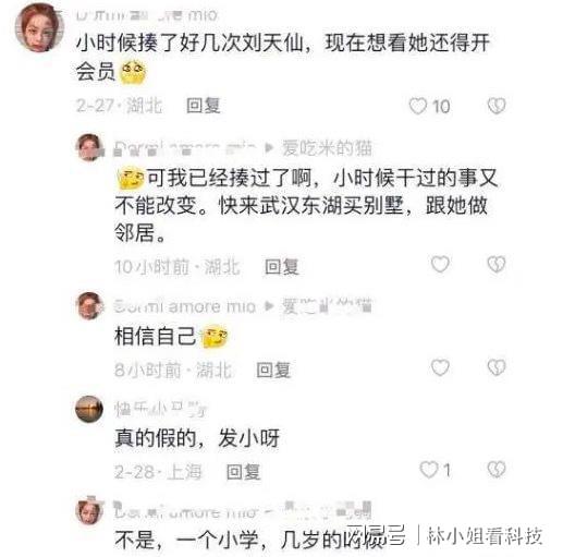 刘亦菲曾被韩国女生霸凌：揪她头发，或者在她背上乱画东西！-刘亦菲韩国网友评论视频