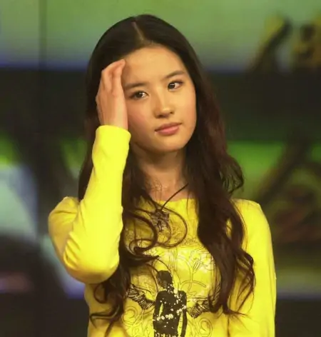 刘亦菲相由心生，美丽而不庸俗，出尘之美的背后是努力-刘亦菲,另一种风格的美