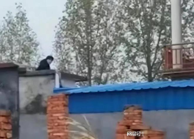 河南6岁孩童被砸身亡, 父亲私下收3万签谅解书, 妻子离婚坚决起诉-河南6岁男童