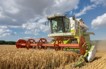多地小麦价格上涨！目前小麦多少钱一斤？7月小麦价格还会上涨吗（小麦今年价格多少钱一斤）
