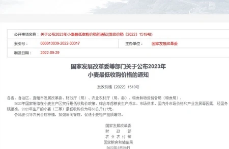 多地小麦价格上涨！目前小麦多少钱一斤？7月小麦价格还会上涨吗（小麦今年价格多少钱一斤）