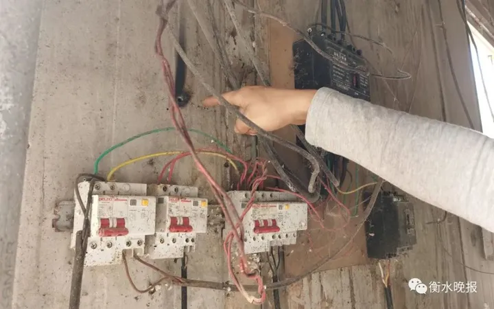 养殖快报丨衡水一猪场突发连电！上百头猪死亡-衡水今天猪价格走势