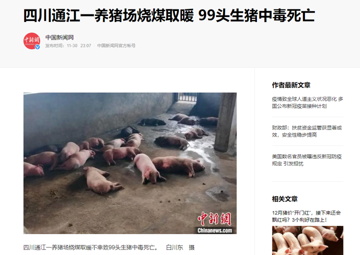 99头猪一夜死亡！现代化养猪场“摒弃”这些反而安全节能-生猪养殖正常死亡率是多少