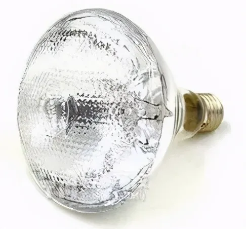 99头猪一夜死亡！现代化养猪场“摒弃”这些反而安全节能-生猪养殖正常死亡率是多少