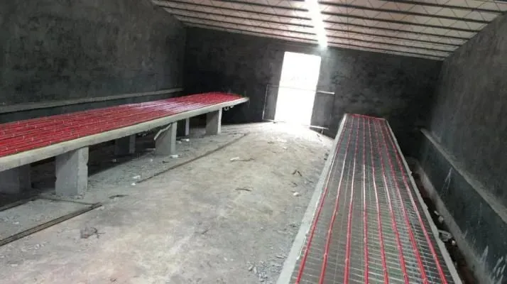 99头猪一夜死亡！现代化养猪场“摒弃”这些反而安全节能-生猪养殖正常死亡率是多少