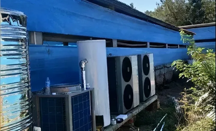 99头猪一夜死亡！现代化养猪场“摒弃”这些反而安全节能-生猪养殖正常死亡率是多少