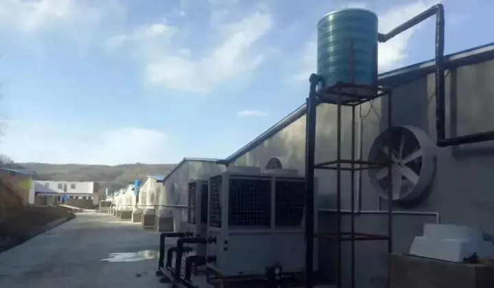 99头猪一夜死亡！现代化养猪场“摒弃”这些反而安全节能-生猪养殖正常死亡率是多少