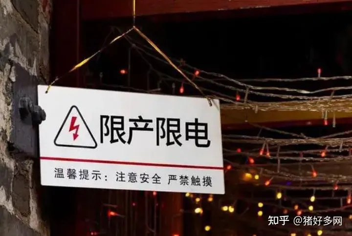 突发！拉闸限电停产！背后啥原因？全国上千万猪饲料或断供？-2021年全国拉闸限电原因