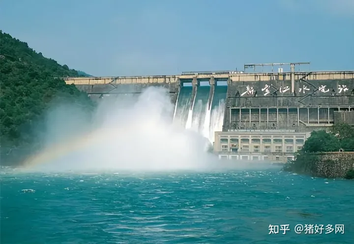 突发！拉闸限电停产！背后啥原因？全国上千万猪饲料或断供？-2021年全国拉闸限电原因