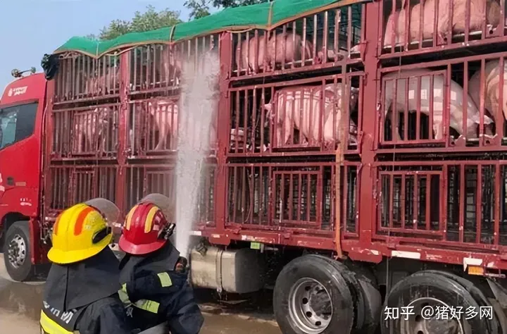 突发！拉闸限电停产！背后啥原因？全国上千万猪饲料或断供？-2021年全国拉闸限电原因