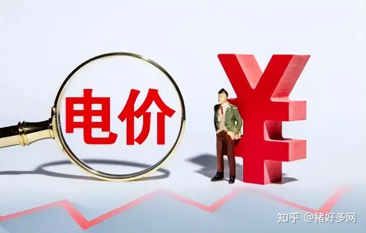 突发！拉闸限电停产！背后啥原因？全国上千万猪饲料或断供？-2021年全国拉闸限电原因