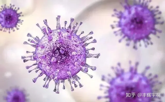 警惕！近期有猪场生猪突发死亡，病死率100%，究竟啥原因？-生猪死亡率在多少范围内正常