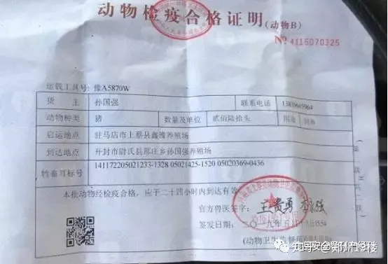 数百头猪崽死亡 养殖户崩溃心寒 谁之过？-规模猪场仔猪正常死亡率