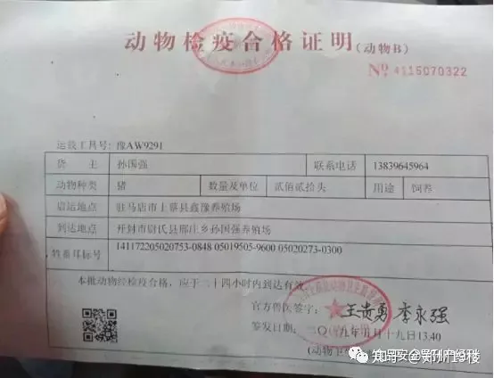 数百头猪崽死亡 养殖户崩溃心寒 谁之过？-规模猪场仔猪正常死亡率