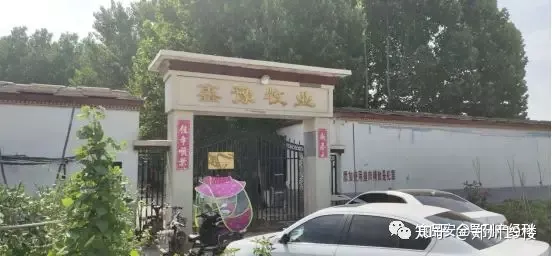 数百头猪崽死亡 养殖户崩溃心寒 谁之过？-规模猪场仔猪正常死亡率