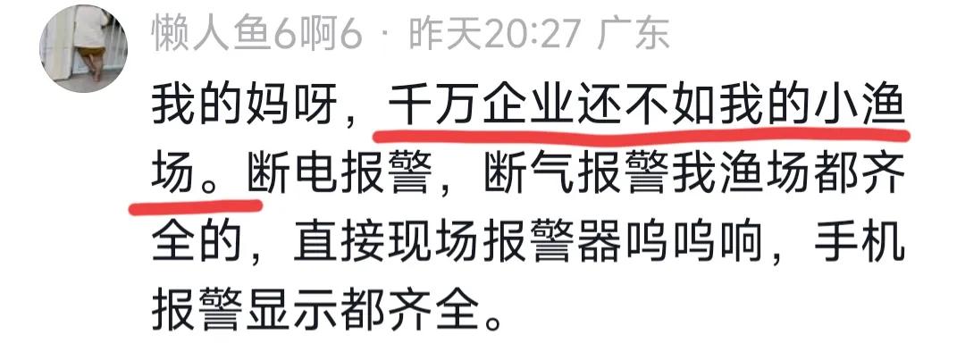 江苏一猪场跳闸，数百头猪一夜热死！老板被质疑因猪价低拉闸骗保-猪场跳蚤比较多,用什么药好使