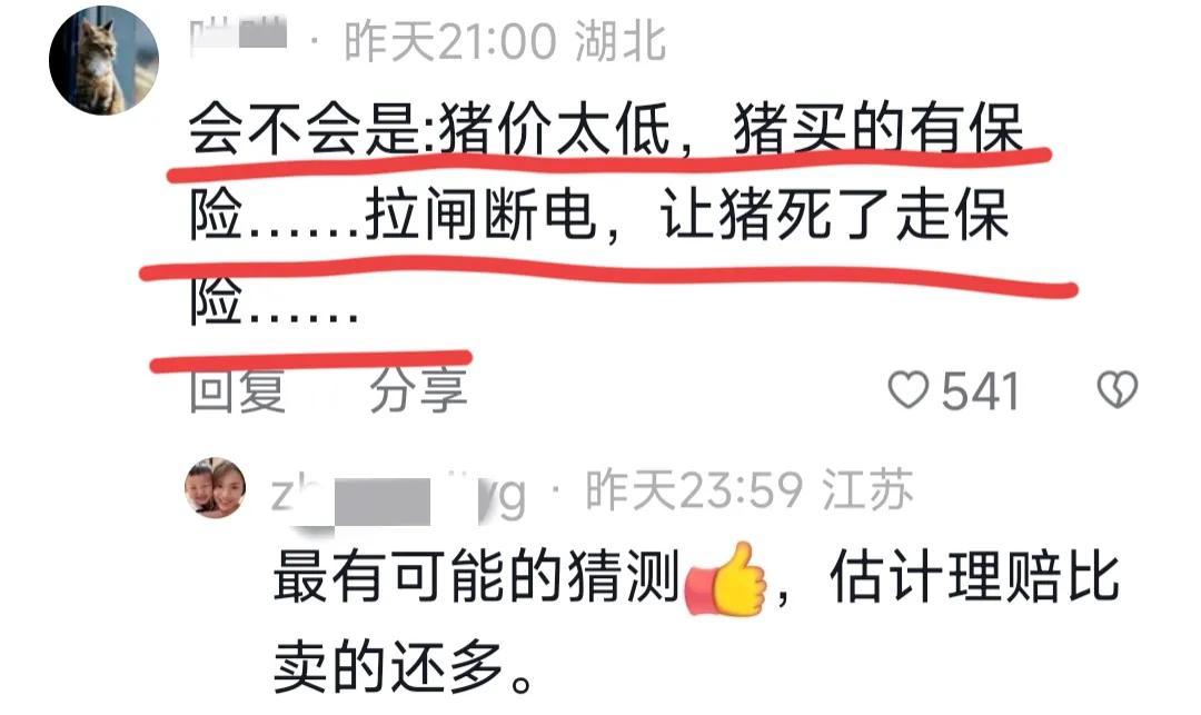 江苏一猪场跳闸，数百头猪一夜热死！老板被质疑因猪价低拉闸骗保-猪场跳蚤比较多,用什么药好使