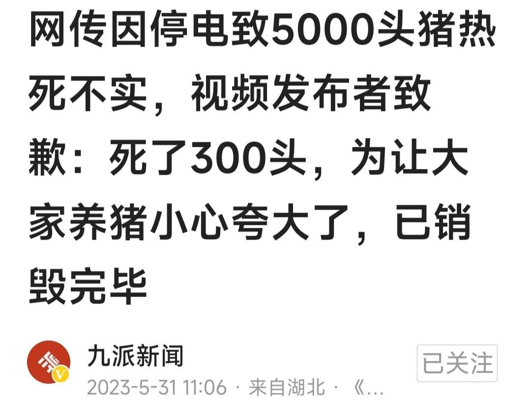 江苏一猪场跳闸，数百头猪一夜热死！老板被质疑因猪价低拉闸骗保-猪场跳蚤比较多,用什么药好使