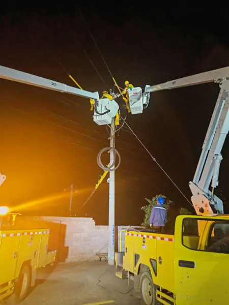 电力助力 智能化养猪为乡村振兴赋能-养猪智能化管理