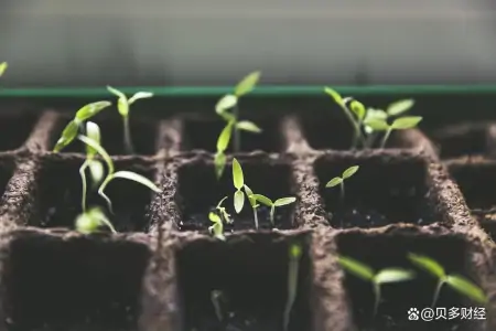 宜宾银行冲刺港交所上市：2022年收入约19亿元，五粮液为大股东-宜宾市银行网点大全