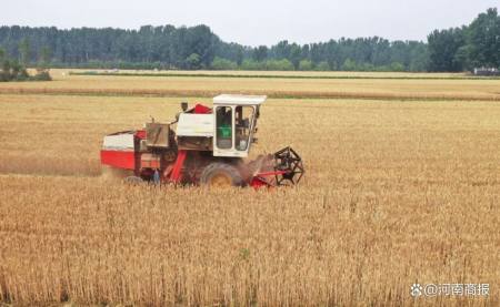 南阳麦田已有1.6万台收割机，“无法下高速”的情况当天就已解决-南阳几号收麦