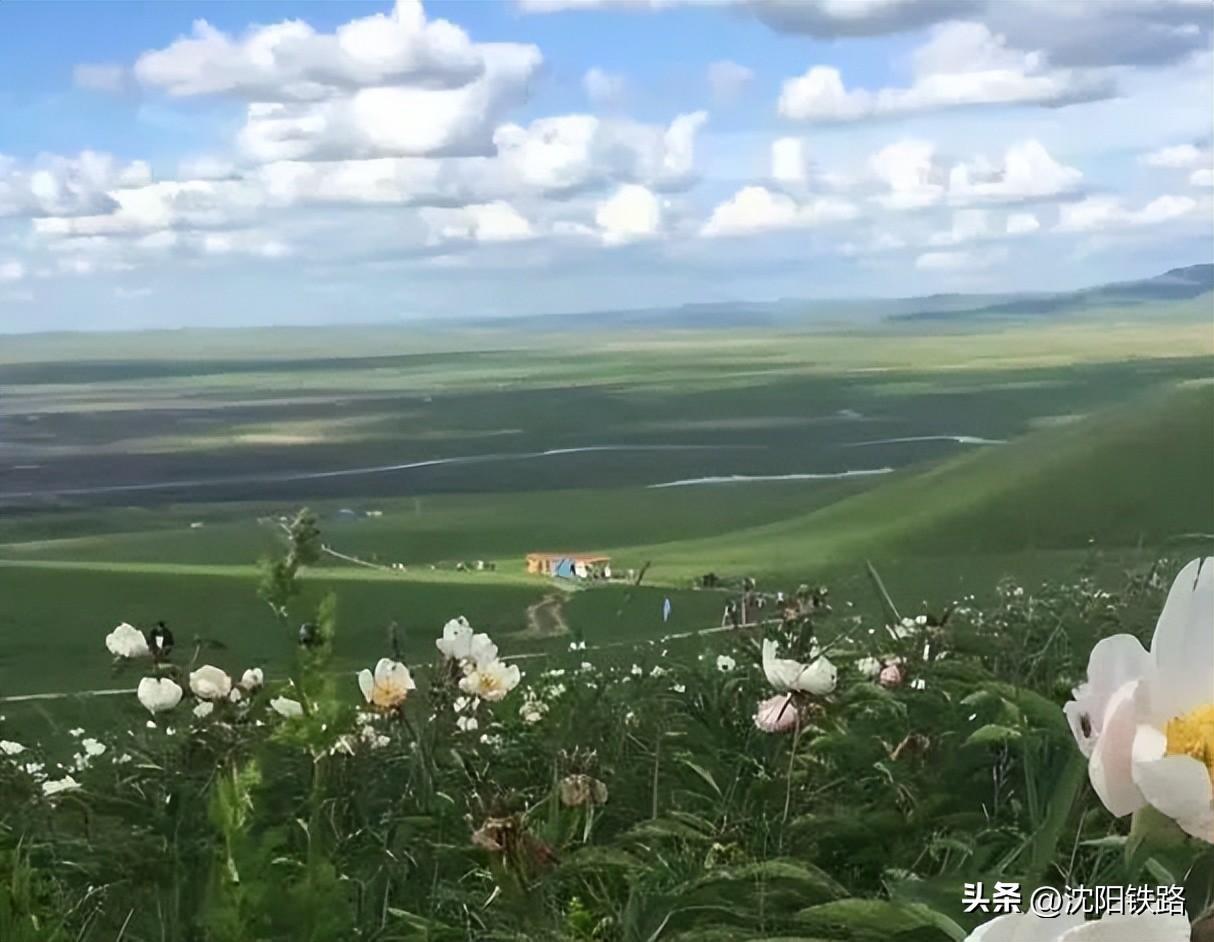 旅游专列来啦！你最想坐哪一趟？-旅游专列来啦!你最想坐哪一趟?