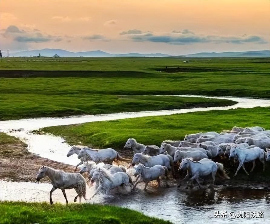 旅游专列来啦！你最想坐哪一趟？-旅游专列来啦!你最想坐哪一趟?