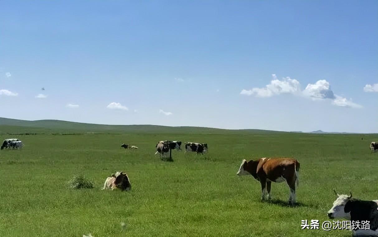 旅游专列来啦！你最想坐哪一趟？-旅游专列来啦!你最想坐哪一趟?