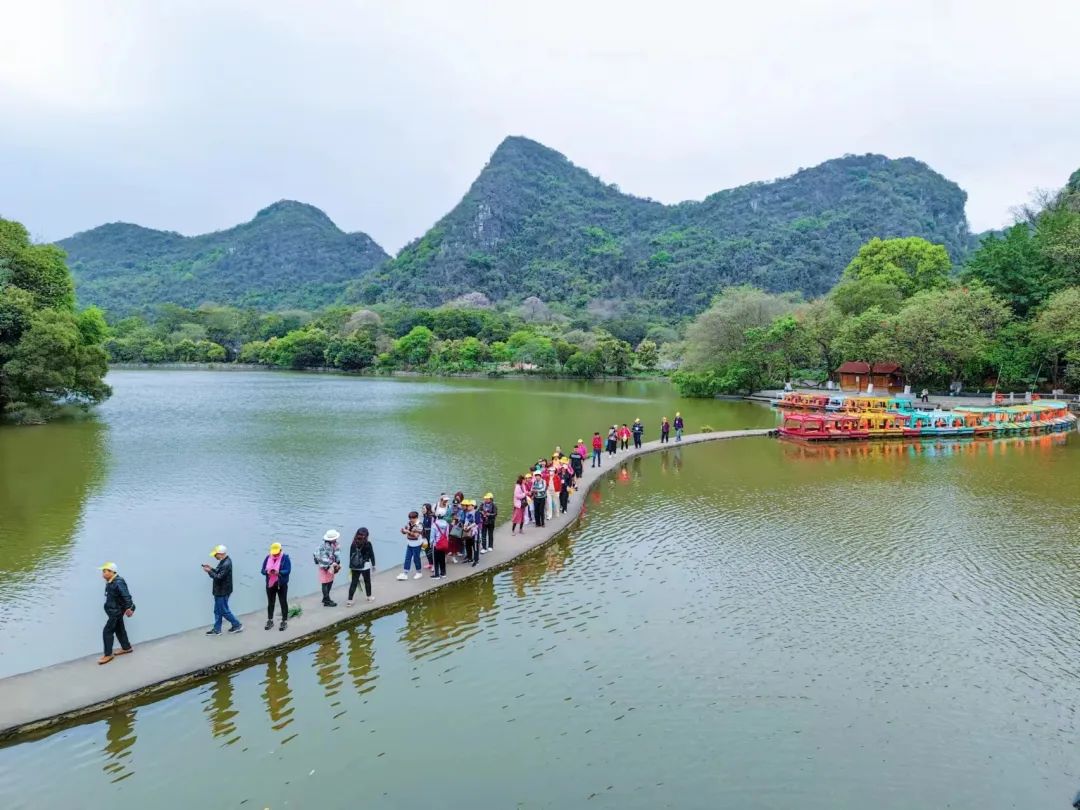 柳湛“山海情”，今年外地赴柳首趟旅游专列团来啦！-山海情 百科