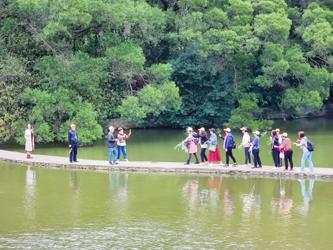 柳湛“山海情”，今年外地赴柳首趟旅游专列团来啦！-山海情 百科