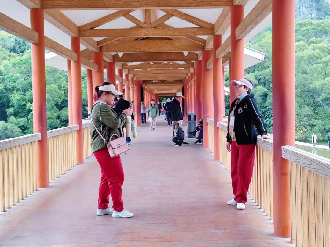 柳湛“山海情”，今年外地赴柳首趟旅游专列团来啦！-山海情 百科