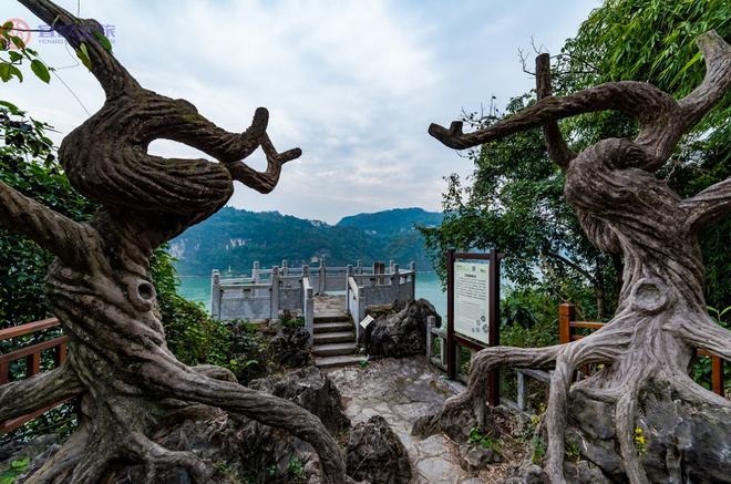 来了！第二趟“静安·夷陵号”旅游专列正式起航！-上海静安篇