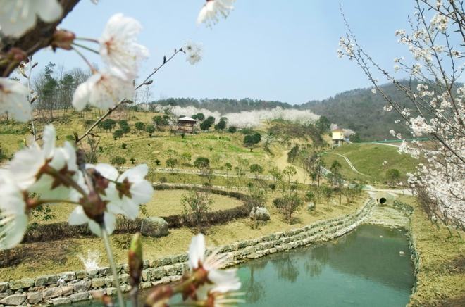 来了！第二趟“静安·夷陵号”旅游专列正式起航！-上海静安篇