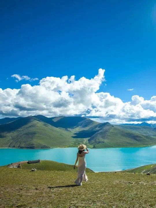 坐上了火车去拉萨，去看那最美的布达拉，这个夏天，一起去西藏！-哈尔滨到拉萨火车价格查询