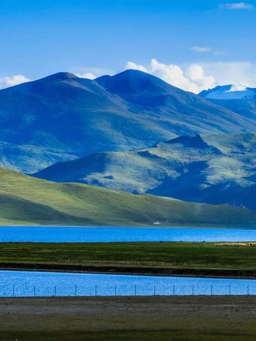 坐上了火车去拉萨，去看那最美的布达拉，这个夏天，一起去西藏！-哈尔滨到拉萨火车价格查询