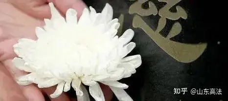 施工挖坏村民祖坟，法院：支持精神损害赔偿（施工挖到祖坟精神损失费如何赔偿）