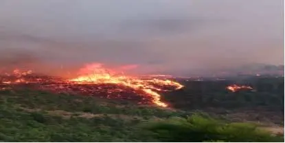 上坟祭祖酿火灾  触犯法律悔已晚（上坟引发火灾）