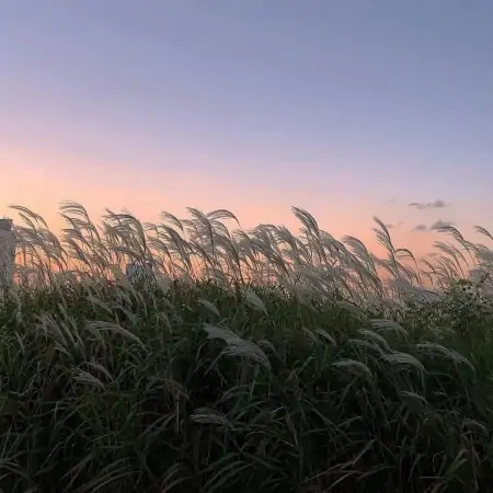 这些理财观念支撑我走过7年存钱之路-理财规划师报名条件及费用标准