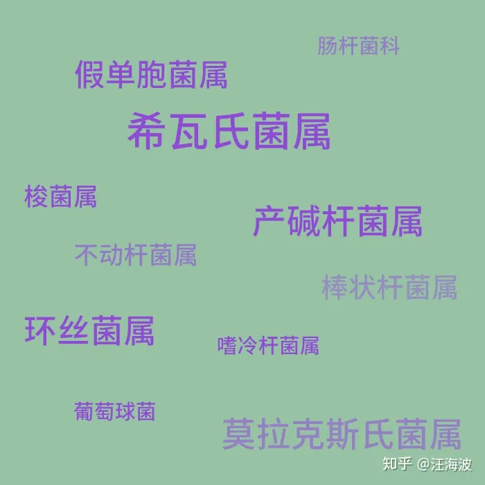 校门口2元一根的烤肠里究竟是啥？看完惊掉下巴（路边2元一根的烤肠,里面是什么肉）