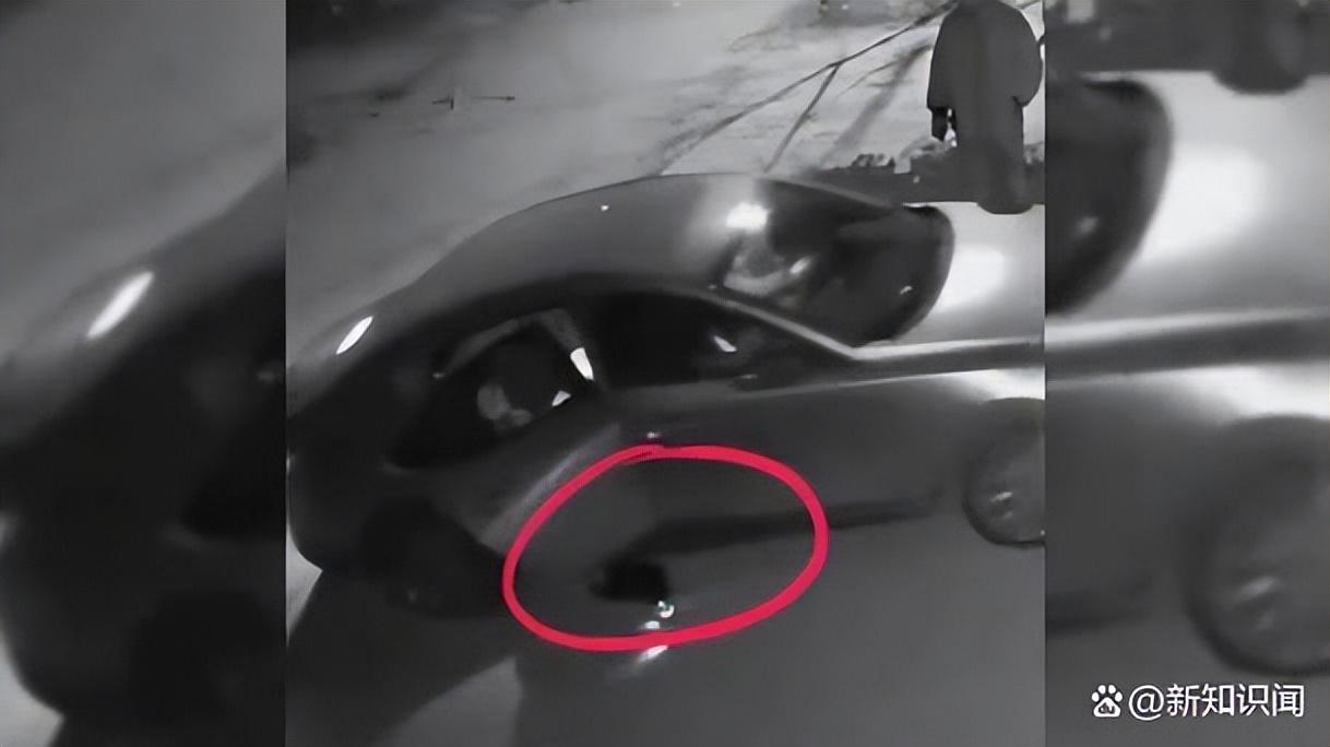 女子忘关车门4岁娃跑下车遭碾压，孩子爆哭声2大人才发现异常（孩子忘在车里闷死的说说）