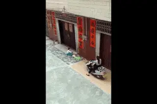 震惊：女子故意驾车碾压女童，天理难容（女子被撞到又故意碾压）