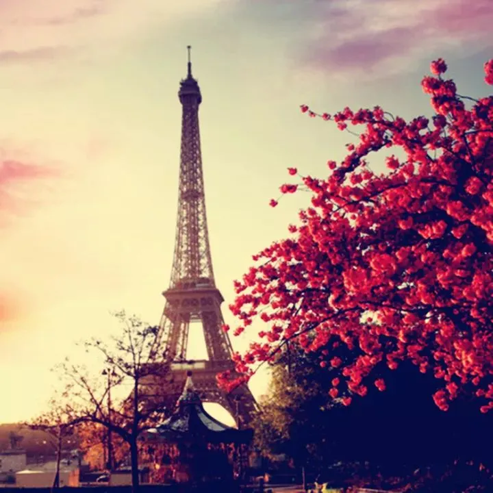 千万别这样自拍了……（别发自拍表情包）