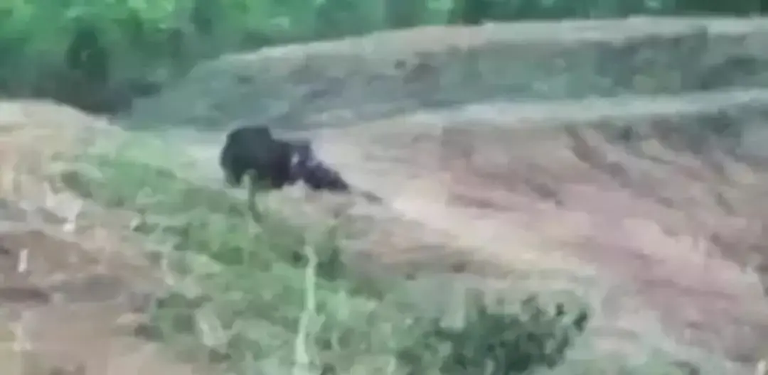 千万别这样自拍了……（别发自拍表情包）