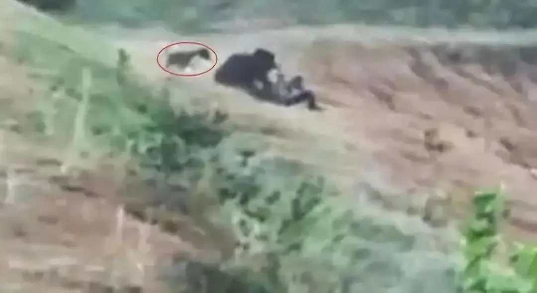 千万别这样自拍了……（别发自拍表情包）